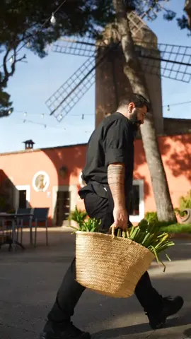 Gastronomía